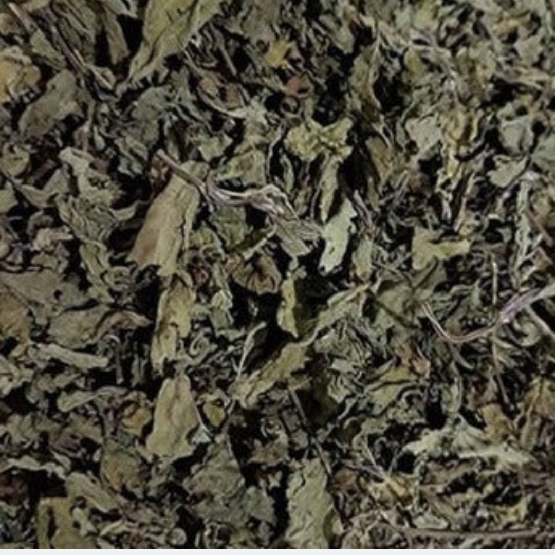 Poonai Meesai Leaves