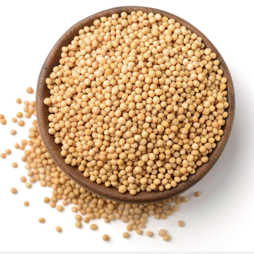 Venkadugu | Yellow Mustard