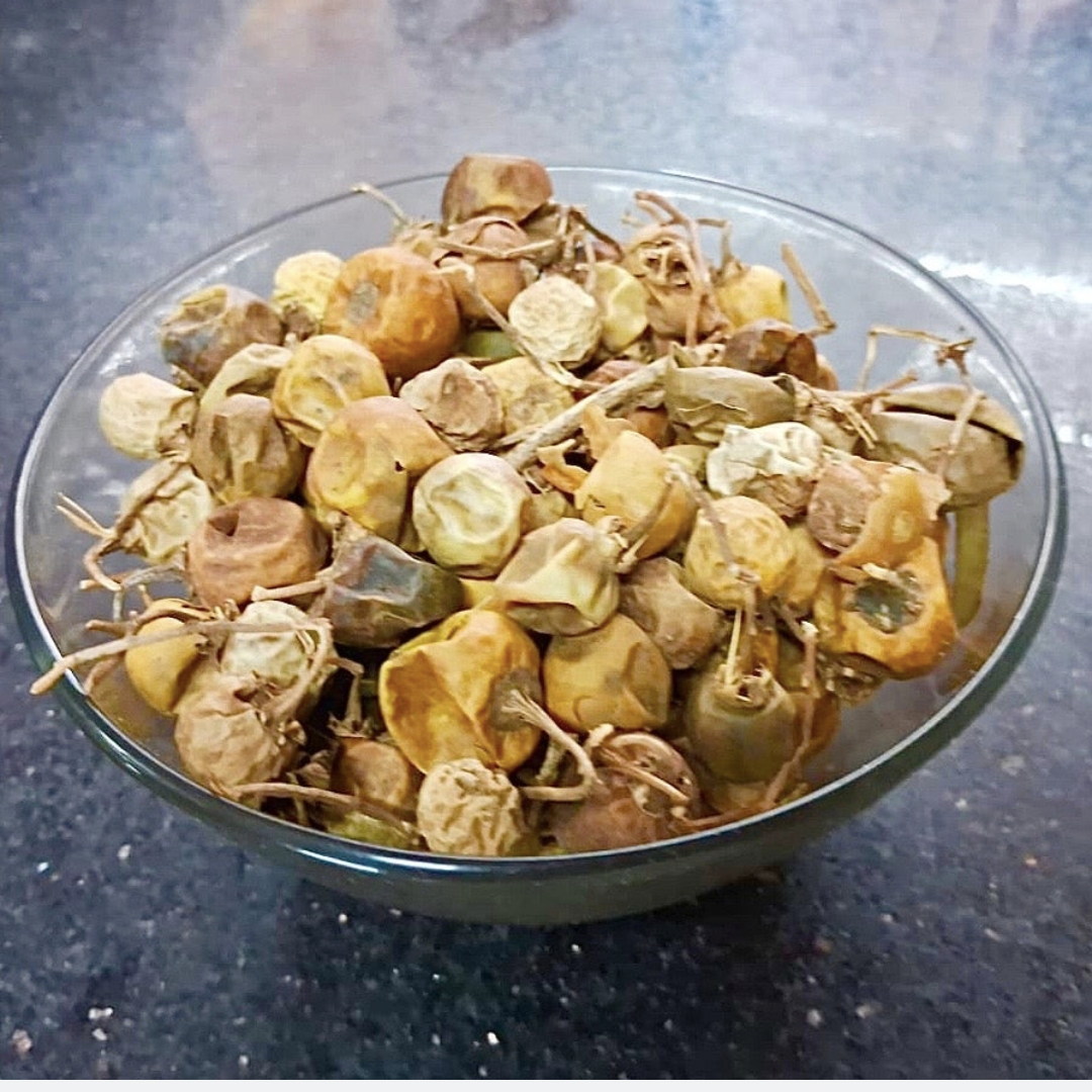 Kandankathiri palam| kandankathirikaai