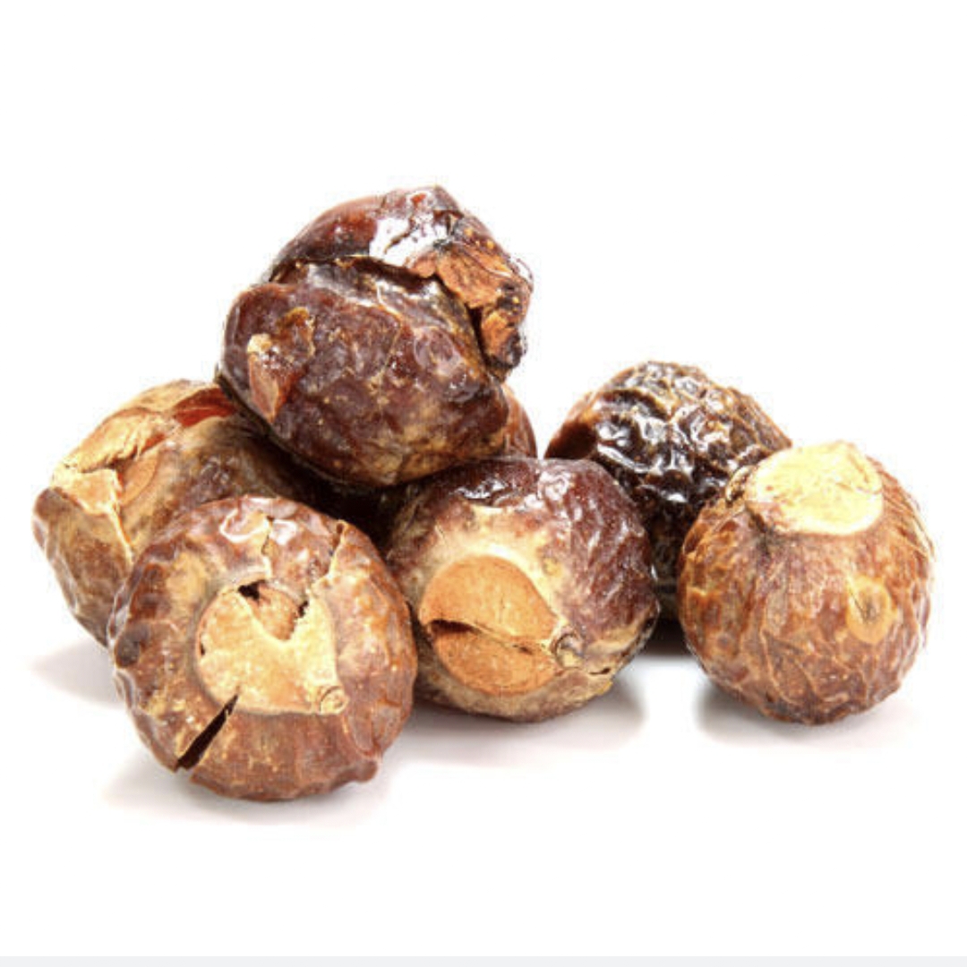 Boondikottai | Soap Nuts |